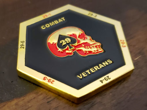 Combat Veterans Challenge Coin