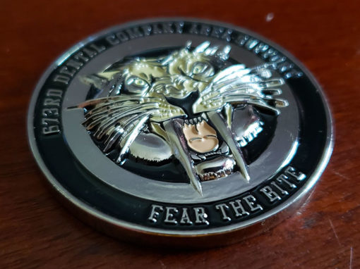 673rd Dental Company Area Support Coin