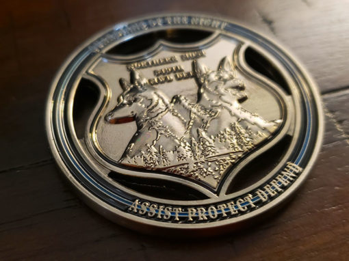 Guardians of The Night Coin